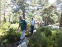 2014-07-03 12-41-33 Rando foret de Nemours APr